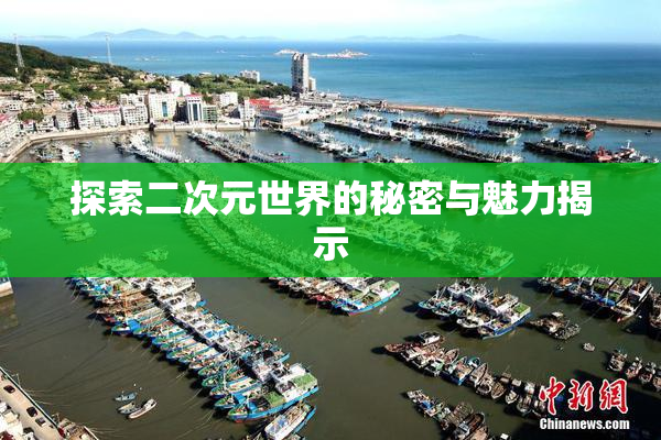探索二次元世界的秘密与魅力揭示