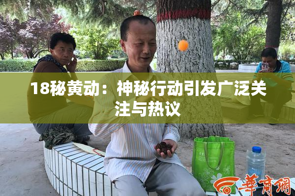 18秘黄动：神秘行动引发广泛关注与热议