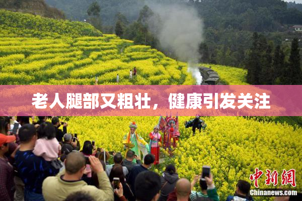 老人腿部又粗壮，健康引发关注
