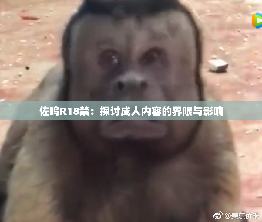 佐鸣R18禁：探讨成人内容的界限与影响