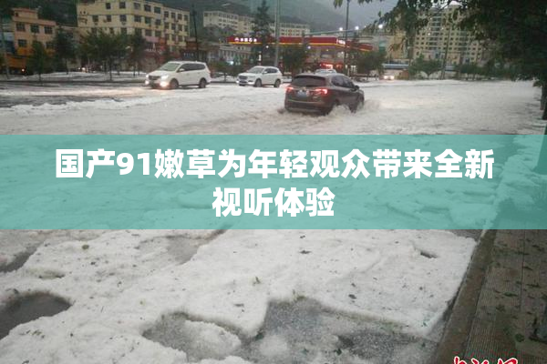 国产91嫩草为年轻观众带来全新视听体验