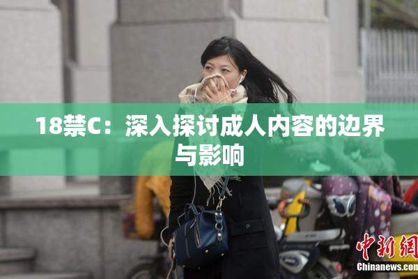 18禁C：深入探讨成人内容的边界与影响