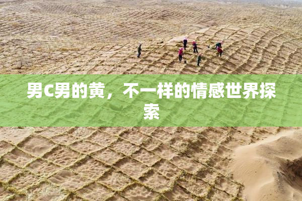 男C男的黄，不一样的情感世界探索