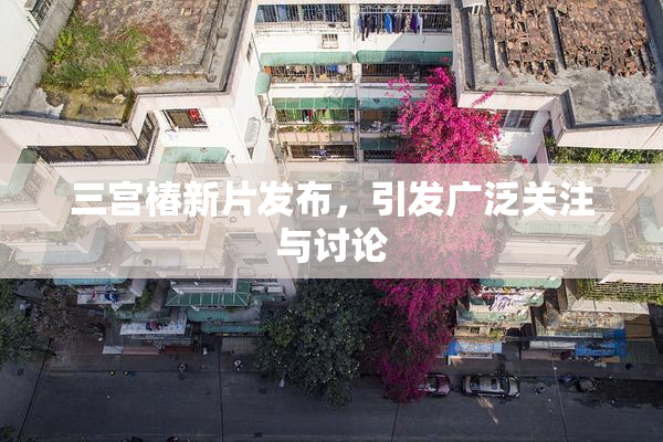 三宫椿新片发布，引发广泛关注与讨论