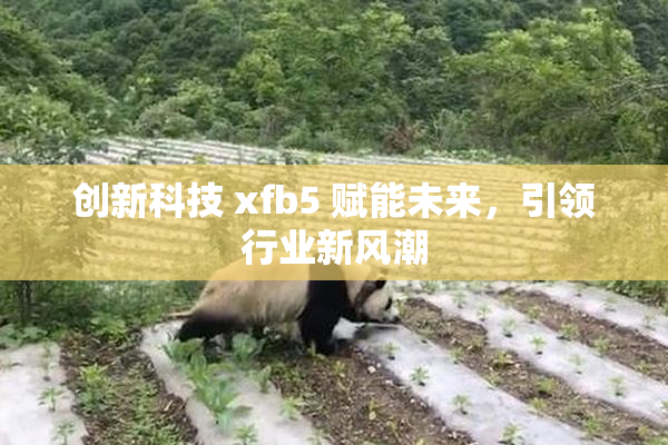 创新科技 xfb5 赋能未来，引领行业新风潮