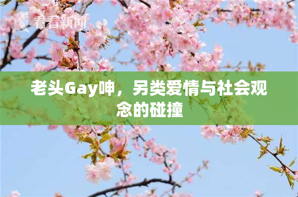 老头Gay呻，另类爱情与社会观念的碰撞