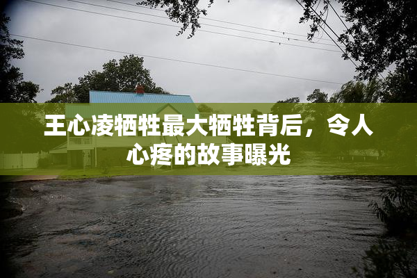 王心凌牺牲最大牺牲背后，令人心疼的故事曝光