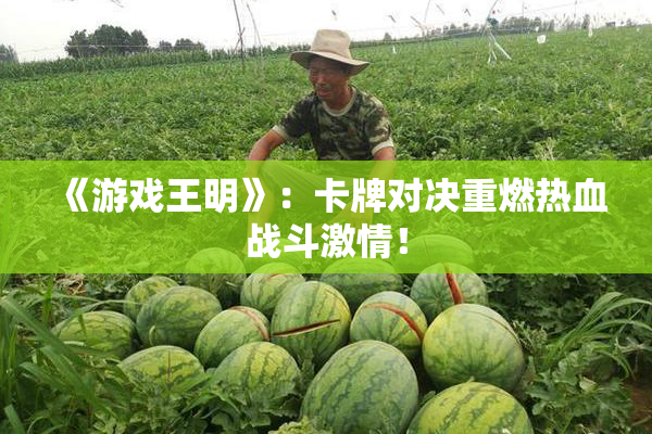 《游戏王明》：卡牌对决重燃热血战斗激情！