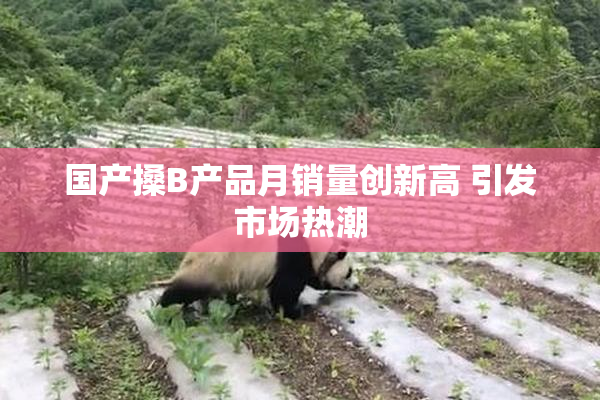国产搡B产品月销量创新高 引发市场热潮