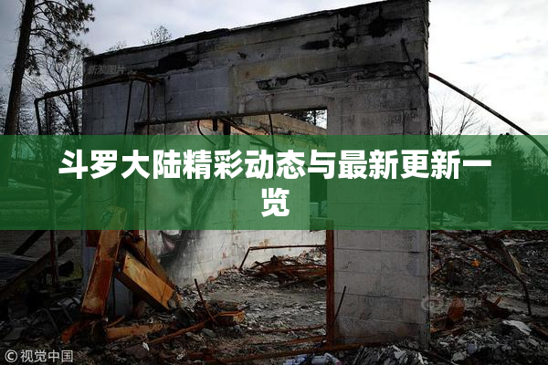 斗罗大陆精彩动态与最新更新一览