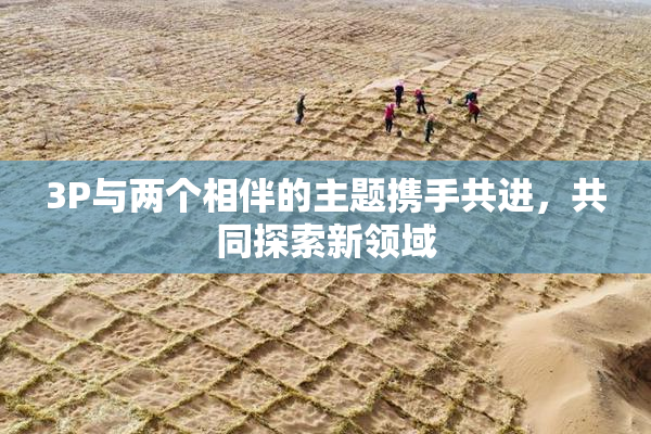 3P与两个相伴的主题携手共进，共同探索新领域