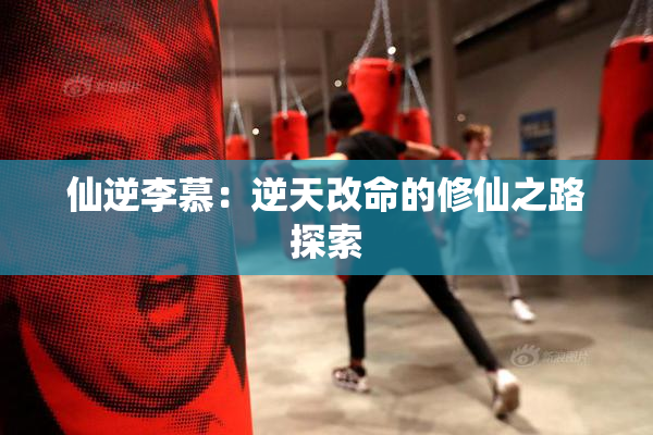 仙逆李慕：逆天改命的修仙之路探索
