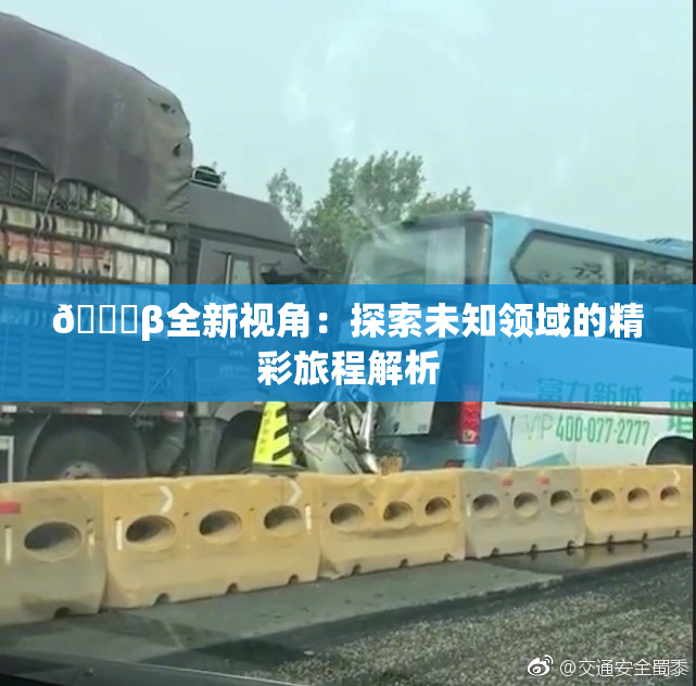 👙β全新视角：探索未知领域的精彩旅程解析