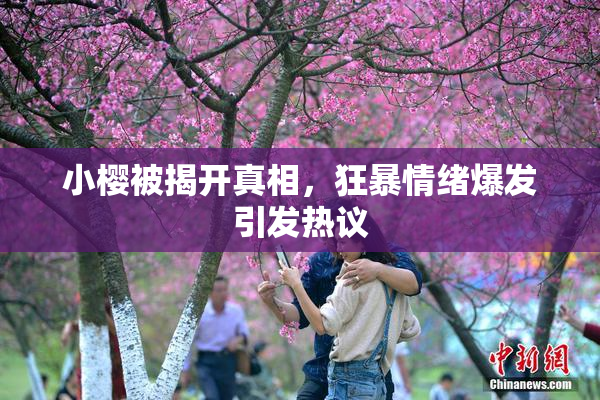 小樱被揭开真相，狂暴情绪爆发引发热议
