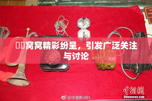 妺妺窝窝精彩纷呈，引发广泛关注与讨论