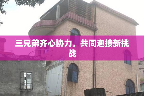 三兄弟齐心协力，共同迎接新挑战