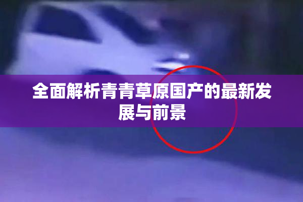 全面解析青青草原国产的最新发展与前景