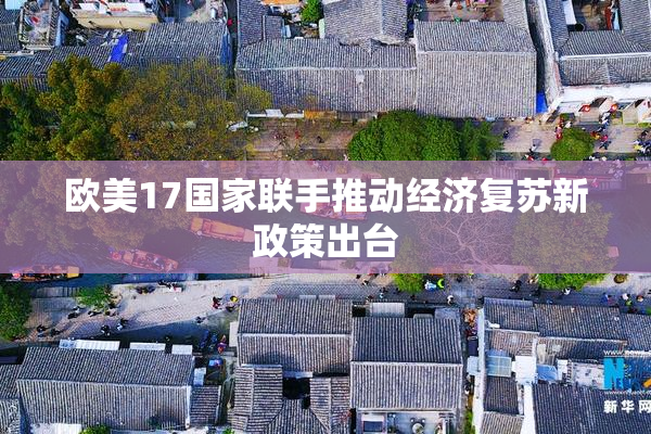 欧美17国家联手推动经济复苏新政策出台