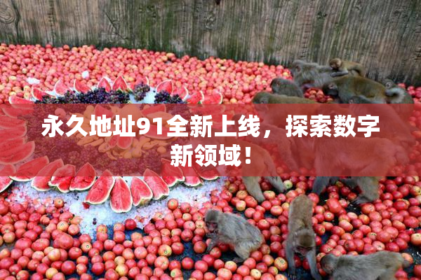 永久地址91全新上线，探索数字新领域！