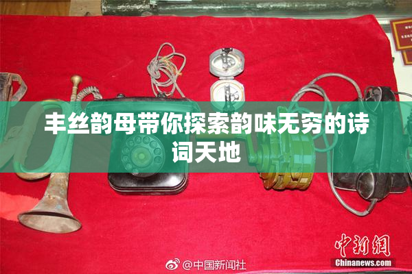 丰丝韵母带你探索韵味无穷的诗词天地