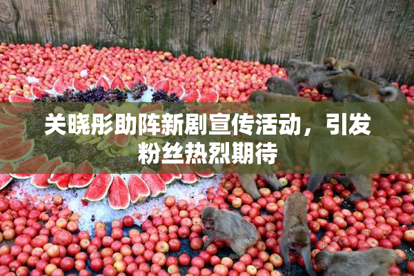 关晓彤助阵新剧宣传活动，引发粉丝热烈期待