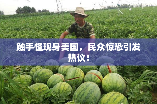 触手怪现身美国，民众惊恐引发热议！