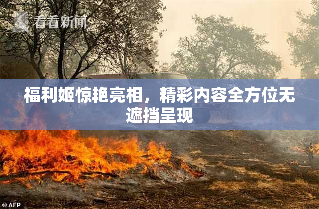 福利姬惊艳亮相，精彩内容全方位无遮挡呈现