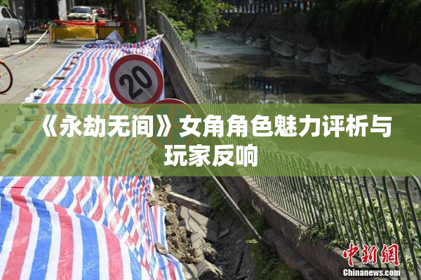 《永劫无间》女角角色魅力评析与玩家反响