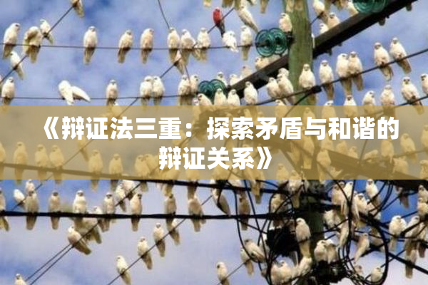 《辩证法三重：探索矛盾与和谐的辩证关系》