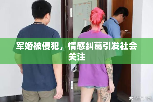 军婚被侵犯，情感纠葛引发社会关注