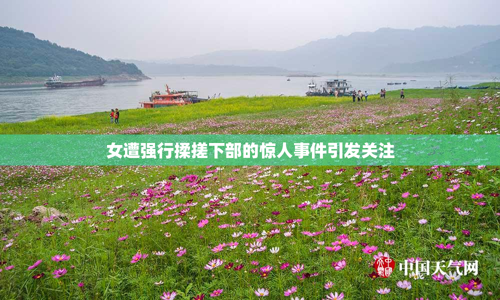 女遭强行揉搓下部的惊人事件引发关注