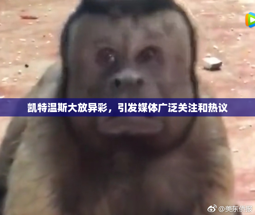 凯特温斯大放异彩，引发媒体广泛关注和热议