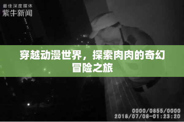 穿越动漫世界，探索肉肉的奇幻冒险之旅