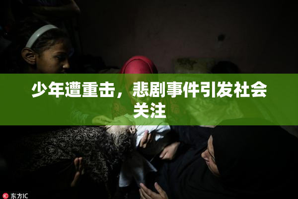 少年遭重击，悲剧事件引发社会关注