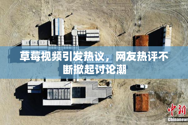 草莓视频引发热议，网友热评不断掀起讨论潮