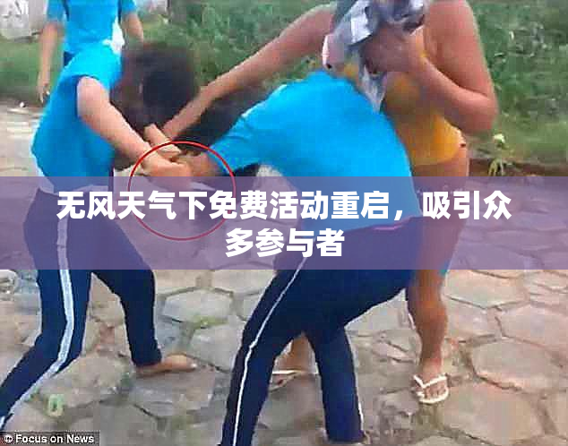 无风天气下免费活动重启，吸引众多参与者