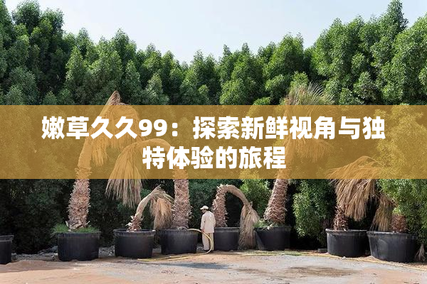 嫩草久久99：探索新鲜视角与独特体验的旅程