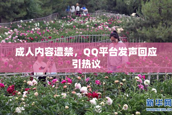 成人内容遭禁，QQ平台发声回应引热议