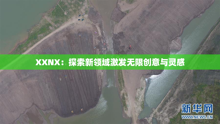 XXNX：探索新领域激发无限创意与灵感
