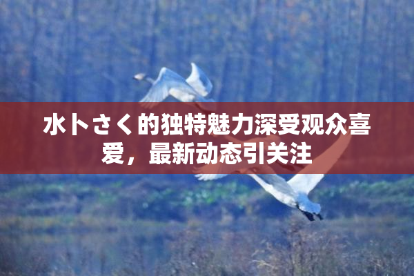水卜さく的独特魅力深受观众喜爱，最新动态引关注