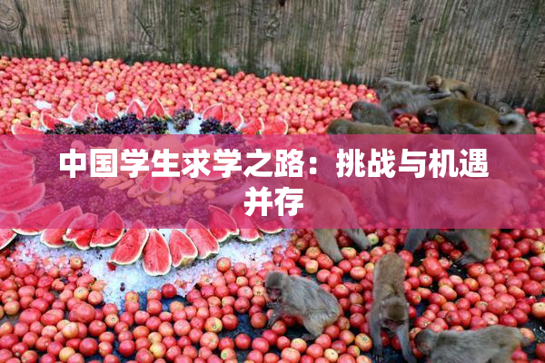 中国学生求学之路：挑战与机遇并存