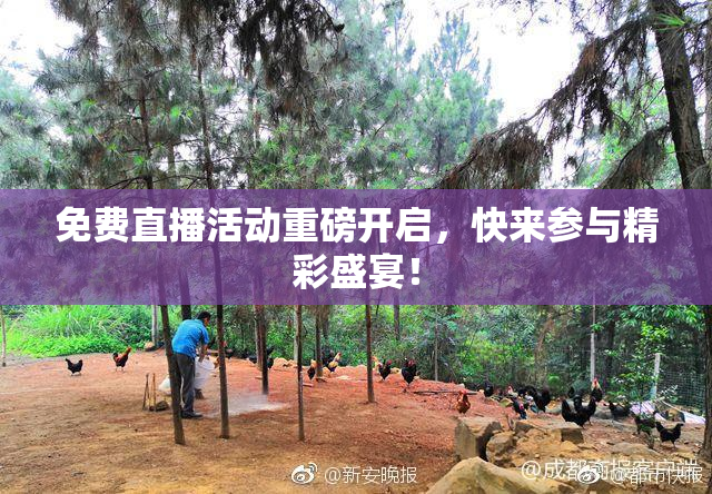 免费直播活动重磅开启，快来参与精彩盛宴！