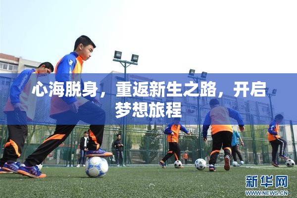 心海脱身，重返新生之路，开启梦想旅程