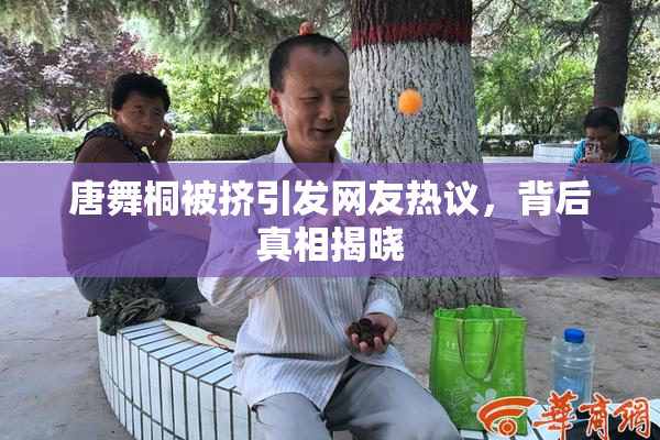 唐舞桐被挤引发网友热议，背后真相揭晓