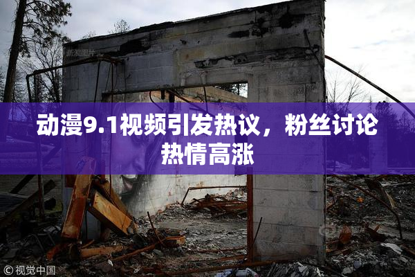 动漫9.1视频引发热议，粉丝讨论热情高涨