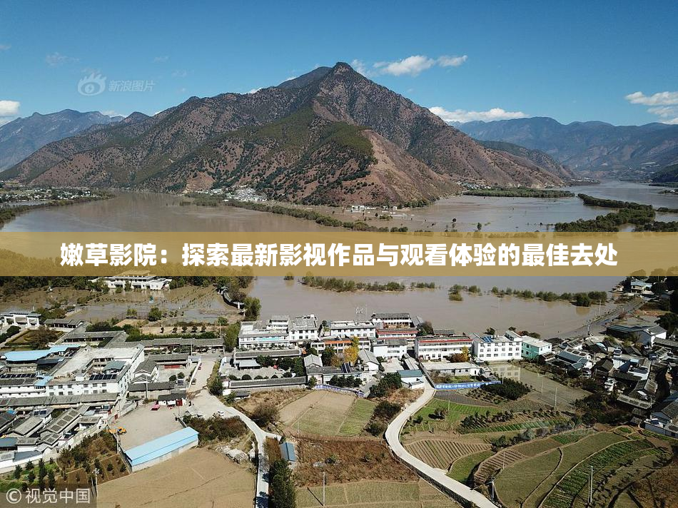 嫩草影院：探索最新影视作品与观看体验的最佳去处