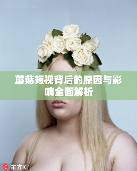 蘑菇短视背后的原因与影响全面解析
