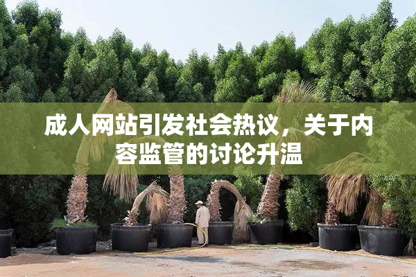 成人网站引发社会热议，关于内容监管的讨论升温