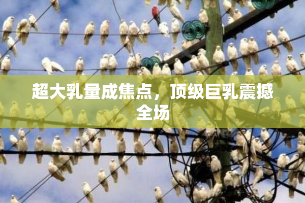 超大乳量成焦点，顶级巨乳震撼全场