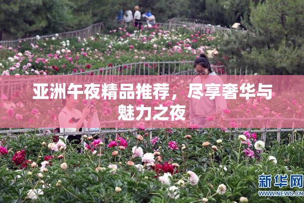 亚洲午夜精品推荐，尽享奢华与魅力之夜